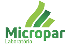 MICROPAR/ MICROLITE - Antiga Rayovac